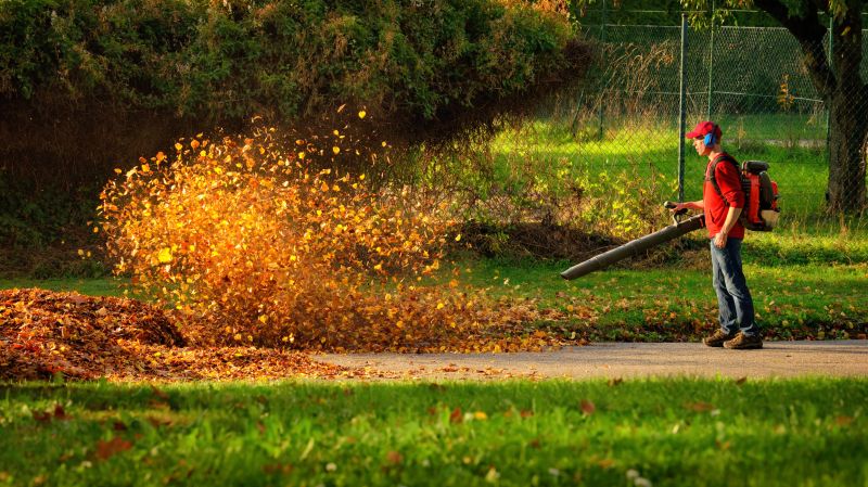 Professional Leaf Blower in Use