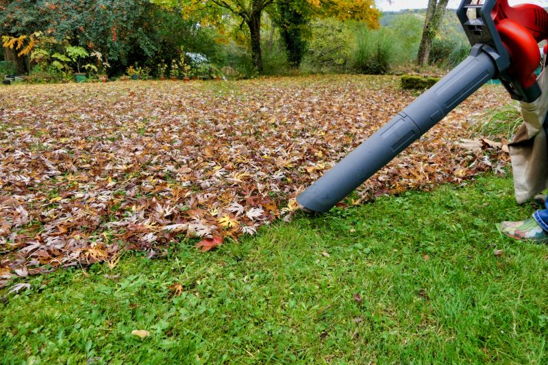 Lawn Equipment for Fall Cleanup