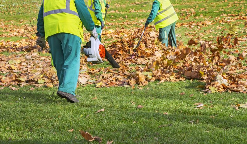 Disposal of Collected Leaves