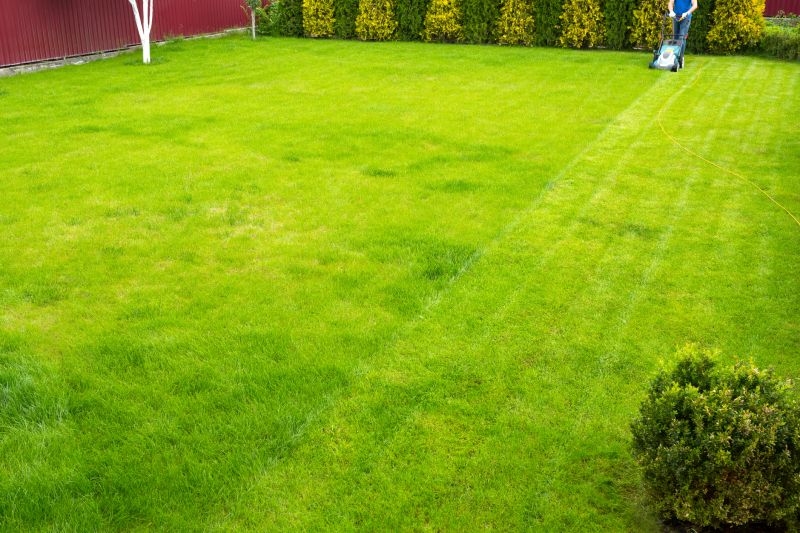 Lawn Mowing in a Residential Yard