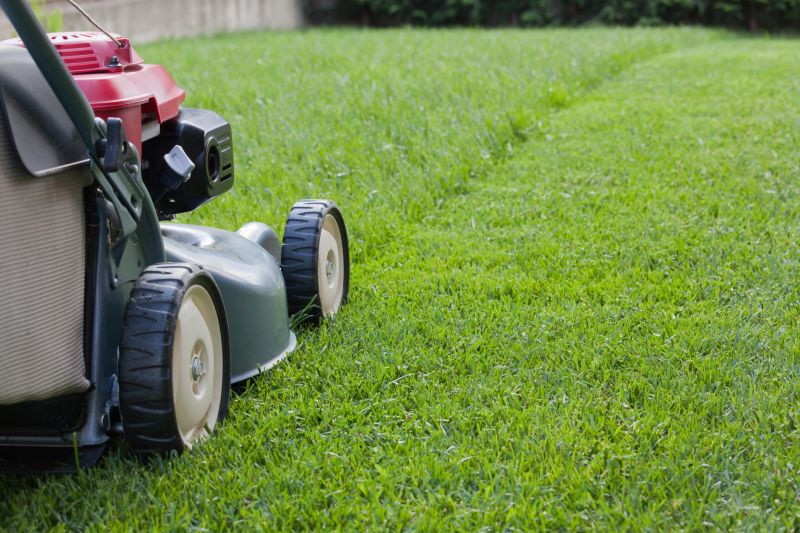 Close-up of Grass Being Mowed