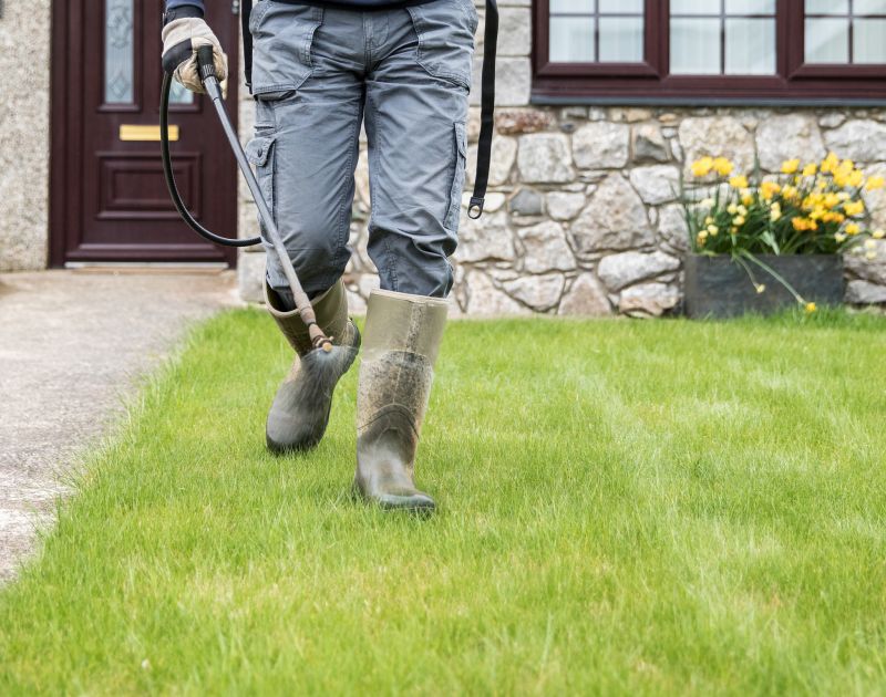 Healthy Lawn Maintenance