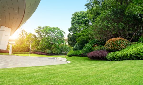 Cost of Commercial Lawn Mowing in Burlington