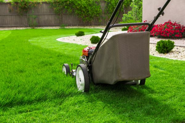 Cost of Grass Mowing in Burlington