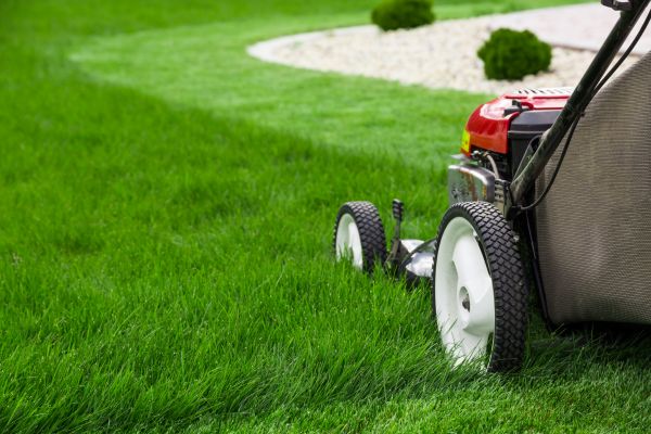 Cost of Lawn Cutting Service in Burlington