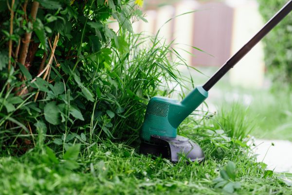 Cost of Weed Whacking in Burlington