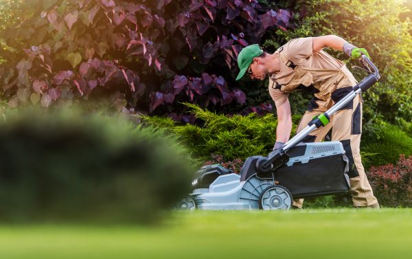 Cost of Yard Care Service in Burlington