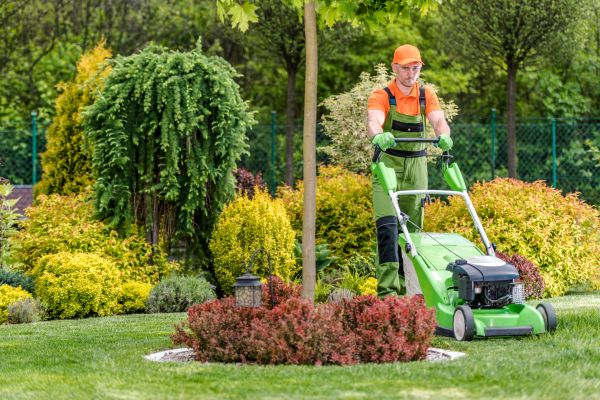 Cost of Yard Service in Burlington