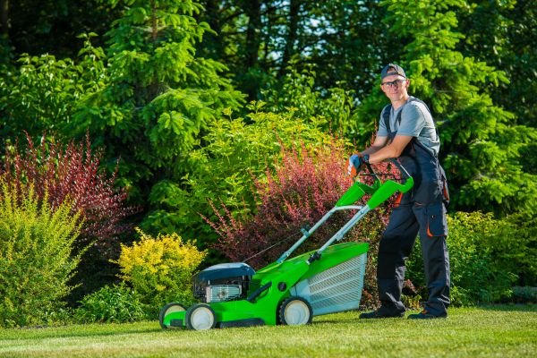 Cost of Yard Work Service in Burlington
