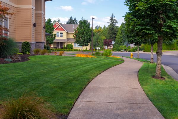 Cost of Home Lawn Maintenance in Burlington