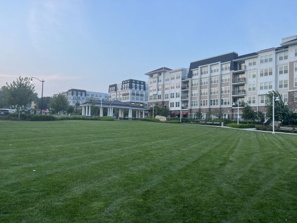 Cost of Urban Lawn Care in Burlington