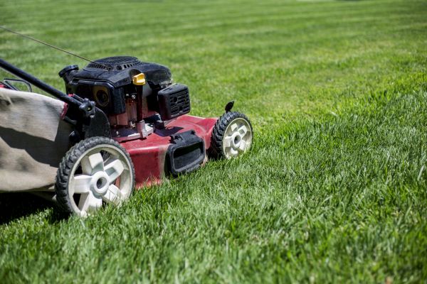 Cost of Routine Lawn Care in Burlington