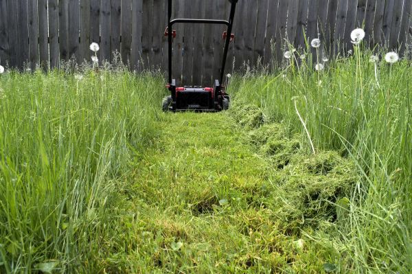 Cost of High Grass Mowing in Burlington