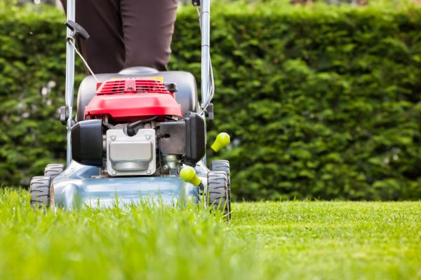 Cost of Grass Trimming Service in Burlington