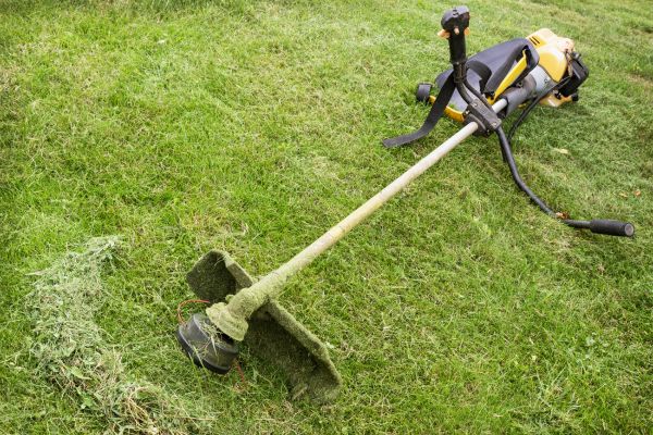 Cost of Hillside Weed Whacking in Burlington