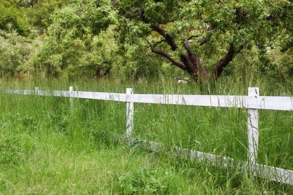 Cost of Fence Line Trimming in Burlington