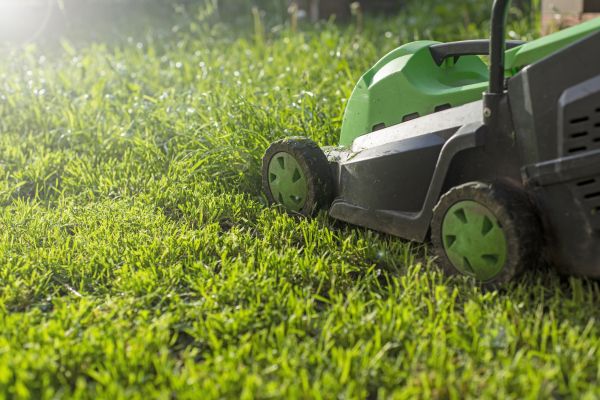 Cost of Yard Trimming in Burlington