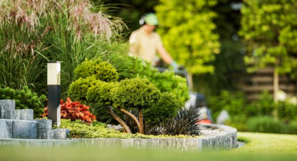 Cost of Residential Yard Maintenance in Burlington