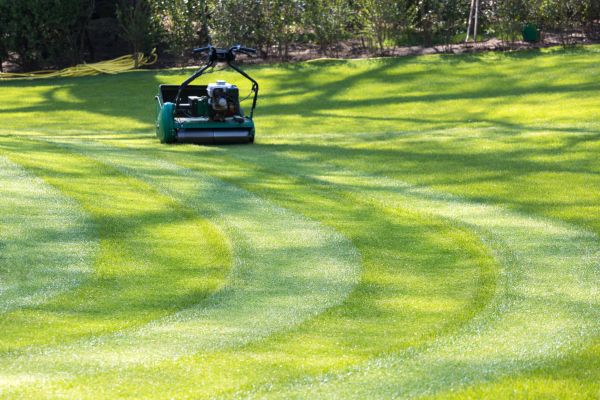 Cost of Business Lawn Mowing in Burlington