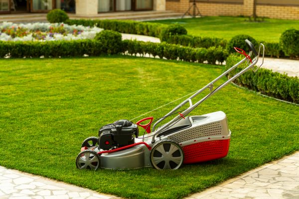 Cost of Business Grass Cutting in Burlington