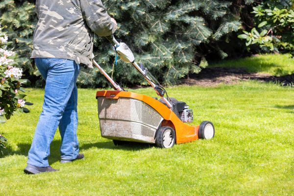 Cost of Springtime Lawn Care in Burlington