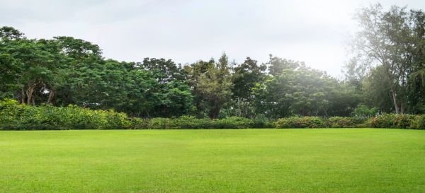 Cost of Golf Course Mowing in Burlington