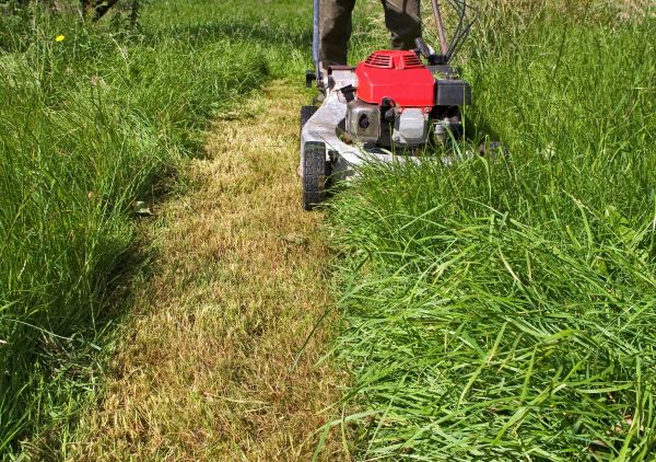 Cost of Leaf Mowing in Burlington