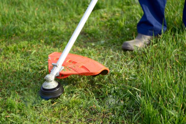 Cost of Lawn Weed Whacking in Burlington