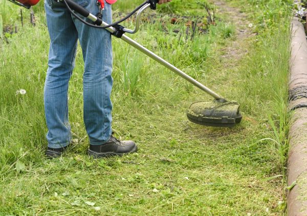 Cost of Tall Grass Trimming in Burlington